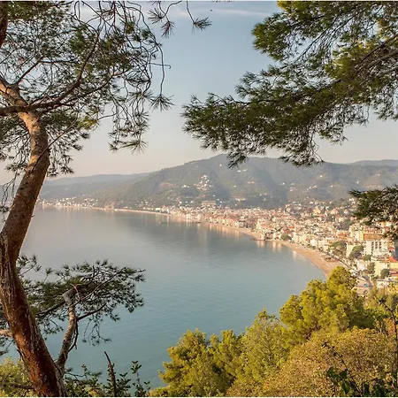 1 Bedroom Amazing In *