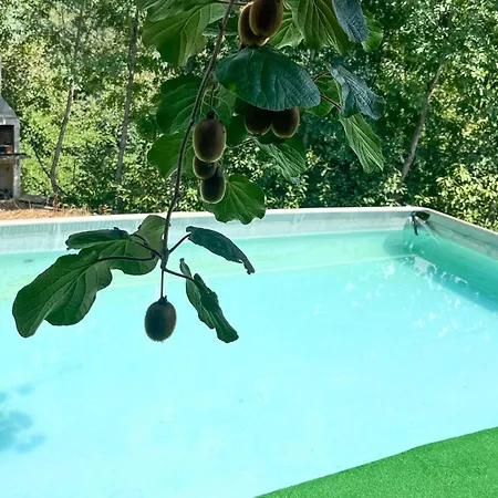 Vakantiehuis 1 Bedroom Amazing In